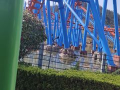 -南京银杏湖乐园