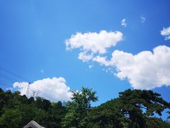 -阳台山自然风景区