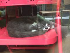 -MIKAKU(万达广场上海宝山店)