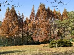 -南山风景名胜区