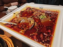 -杨记隆府(重庆总店)