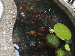 -映像威海·海鲜味道(市区店)