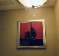 -帝元维多利亚大酒店·宴会厅