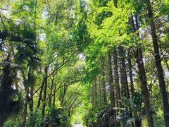 -同里国家湿地公园