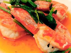 -Red Lobster
