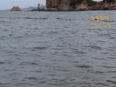 -厦门邮轮中心厦鼓码头(轮渡站)