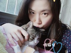 -艾贝尔宠物医院·24H转诊中心·肿瘤猫专科(江宁双龙店)