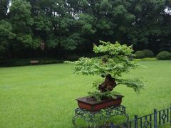 android_upload_pic-申粤轩酒楼·三十年粤菜经典(丁香花园店)