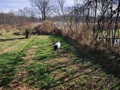 -钏路市丹顶鹤自然公园