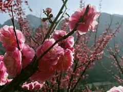 -高岚大峡谷旅游度假区