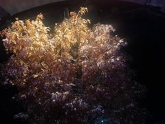 -永利澳门酒店
