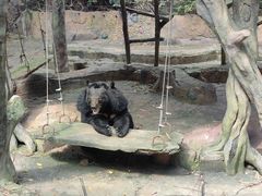 -长鹿旅游休博园