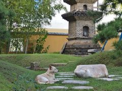 -龙华寺