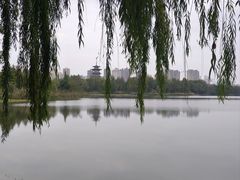 -洋湖国家湿地公园