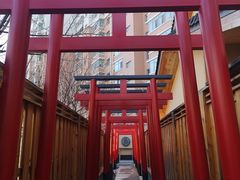 -大江户·温泉洗浴(浑南店)