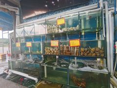 水产区-蚝专家(北滘店)