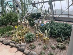 -南山植物园