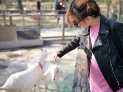 -前小桔亲子创意农场·草莓采摘·露营烧烤