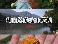 -广鹿岛景区