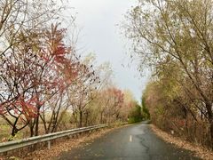 -蒲河岛湿地公园