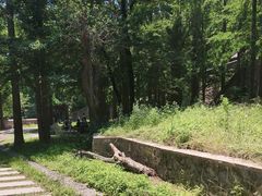 -阳台山自然风景区