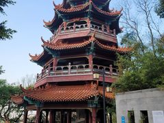 -神光山国家森林公园