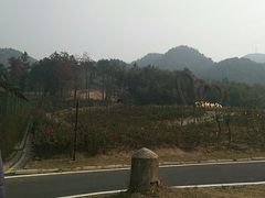 -黄陂区野村谷景区