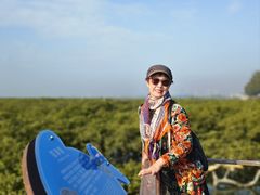 -北海金海湾红树林生态旅游区