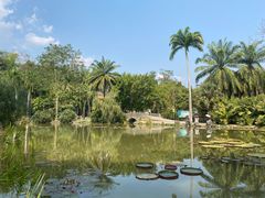 -中国科学院西双版纳热带植物园