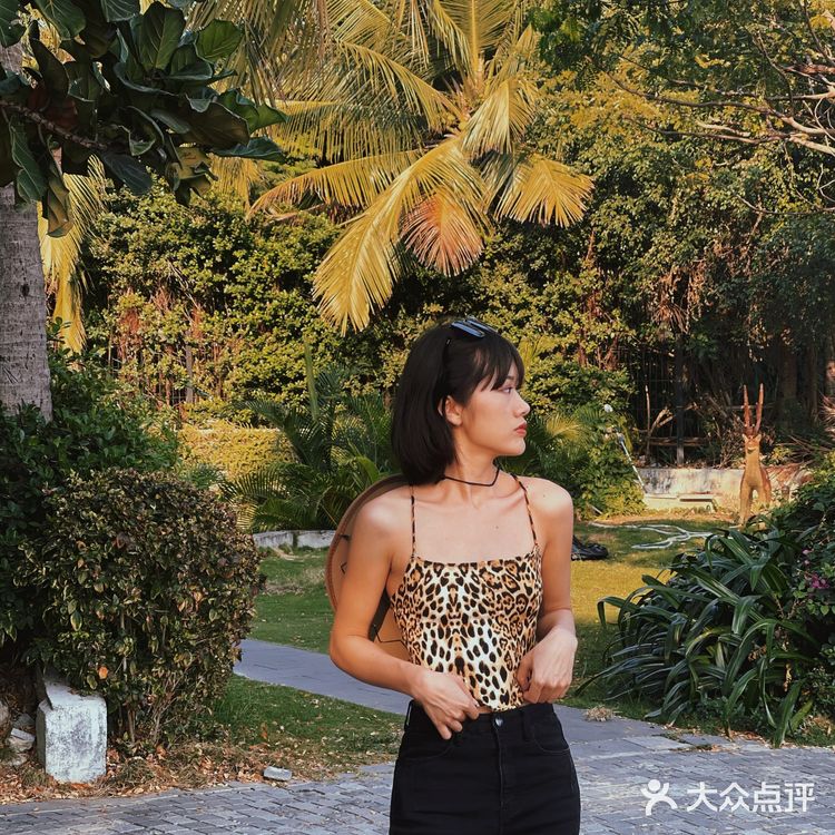 三亚旅游｜人均100入住超ins椰林🌴 
