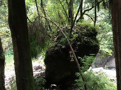 -西岭雪山大飞水景区