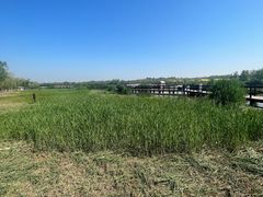 -西青郊野公园