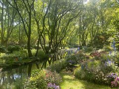 -上海共青森林公园