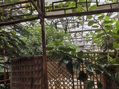 -金稼园·金平湖农家菜