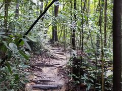 -武吉知马自然保护区