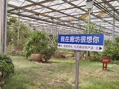 -九天休闲谷