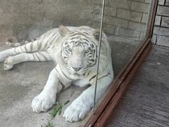 -齐齐哈尔龙沙动植物园