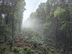 -广州市帽峰山景区