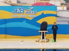 -秦皇岛乐岛海洋王国