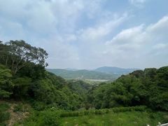 -广州市帽峰山景区