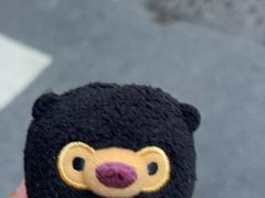 -LOOOAD COFFEE进度条(D9街区店)