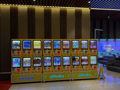 -华美国际影城(旧宫永辉店)