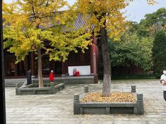 -钱王祠