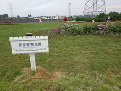 -紫颐香薰山谷景区