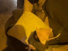 -木沐影咖(鑫乐汇购物广场店)