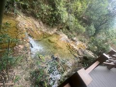 -南海湾森林生态园