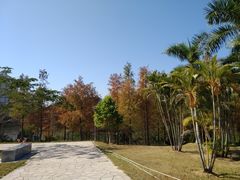 -聚龙山公园