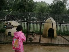 -意大利农场度假村