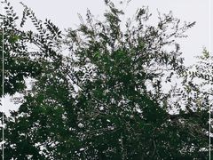 -北京积水潭医院(回龙观院区)