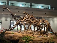 -自贡恐龙博物馆